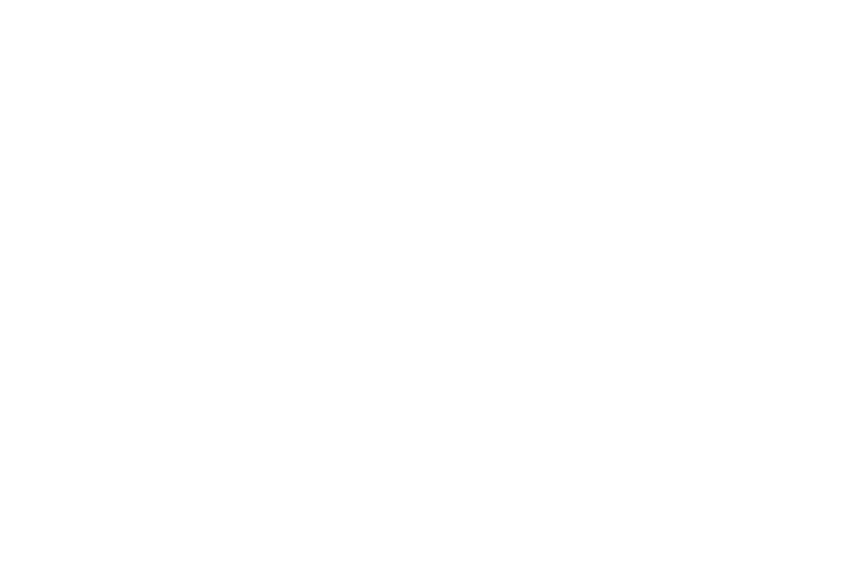 Rodna Energía